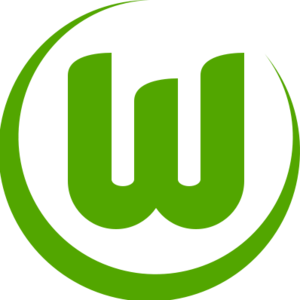 沃尔夫斯堡U19  logo