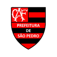 弗拉門戈圣佩德羅女足 logo
