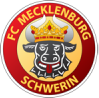 什未林梅克伦堡  logo