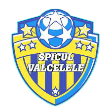 斯皮瓦勒 logo