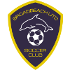 布罗德海滩联合女足 logo