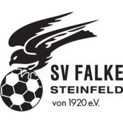 SV Falke Steinfeld