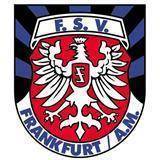 FSV˸