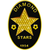 钻石星尘  logo