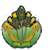 磅士卑省  logo