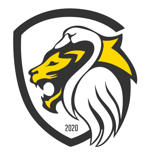 北部流浪FC女足 logo