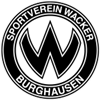 布格豪森 logo