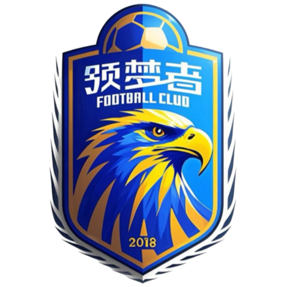 新疆领梦者U13 