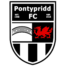 帕地普利德 logo