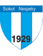 奈斯佩基  logo