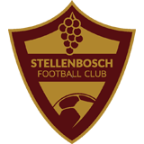 斯泰倫博斯  logo