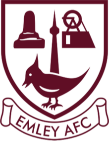 埃姆利AFC  logo
