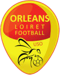 奥尔良女足  logo