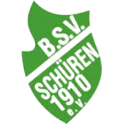 BSV惠恩  logo