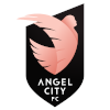 天使城女足 logo