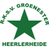 RKSV格罗内 斯特 logo
