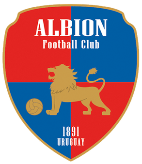 阿尔比恩  logo