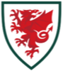 威尔士女足  logo