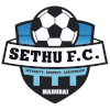 塞圖烏斯女足  logo