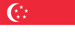新加坡女足logo