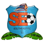 东南亚FC logo