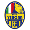 海拉斯维罗纳女足 logo