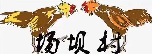 场坝村足球队 