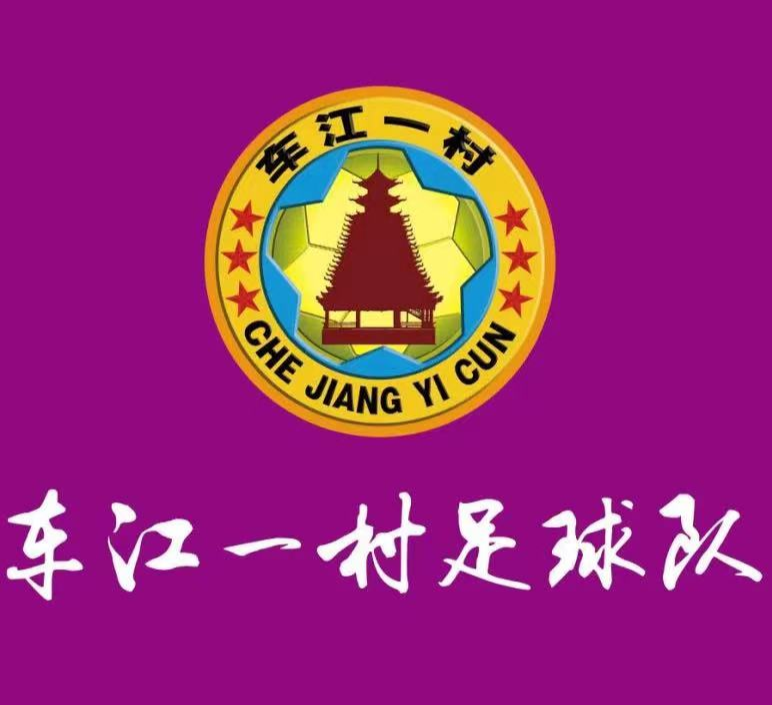 车江一村足球队 logo