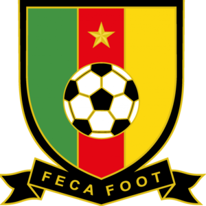 喀麦隆女足  logo