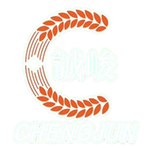 广东肇庆金利诚峻足球队 