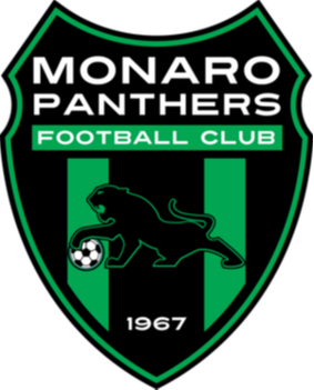 莫納洛黑豹  logo