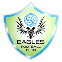 班加罗尔鹰 logo
