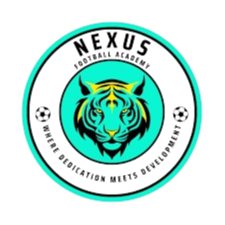 耐克司足球协会青年队logo