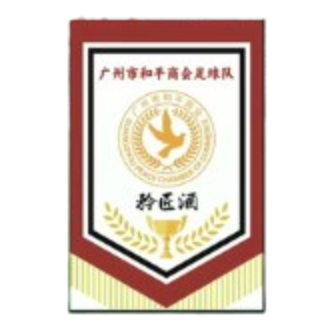 广东和平赛区冠军足球队