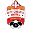 西切斯特联U19 logo
