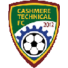 Cashmere Technical (w)