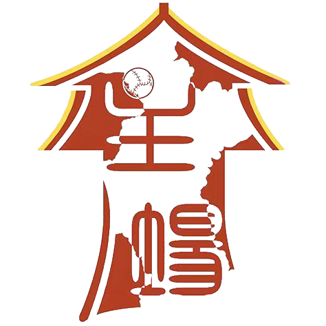 淄博主场 logo