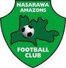 纳萨拉瓦亚马逊女足  logo