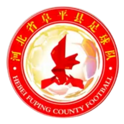 河北阜平骆驼湾村足球队 