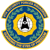 安全部队联  logo