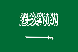 沙特阿拉伯U16logo