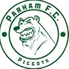 帕尔哈马 logo