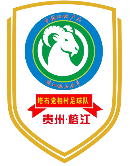 党相村足球队 