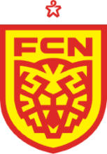 北西兰女足 logo