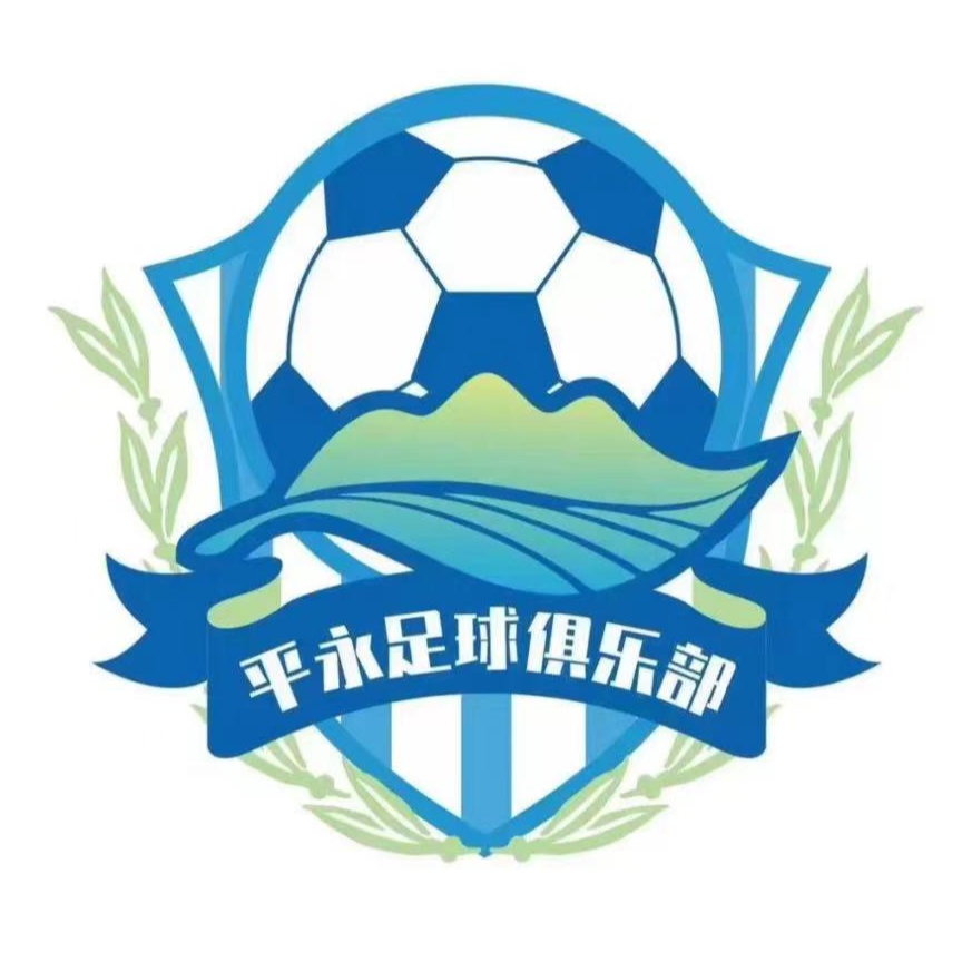 平永村足球队 