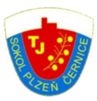 TJS塞尔尼斯  logo