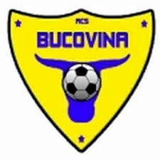 布科维纳 logo