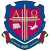 圣路易紅雀女足  logo