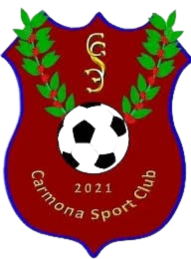 https://cdn.sportnanoapi.com/football/team/d80b656d03f11e4fa48c5de7e6e98390.png