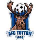 托顿 logo